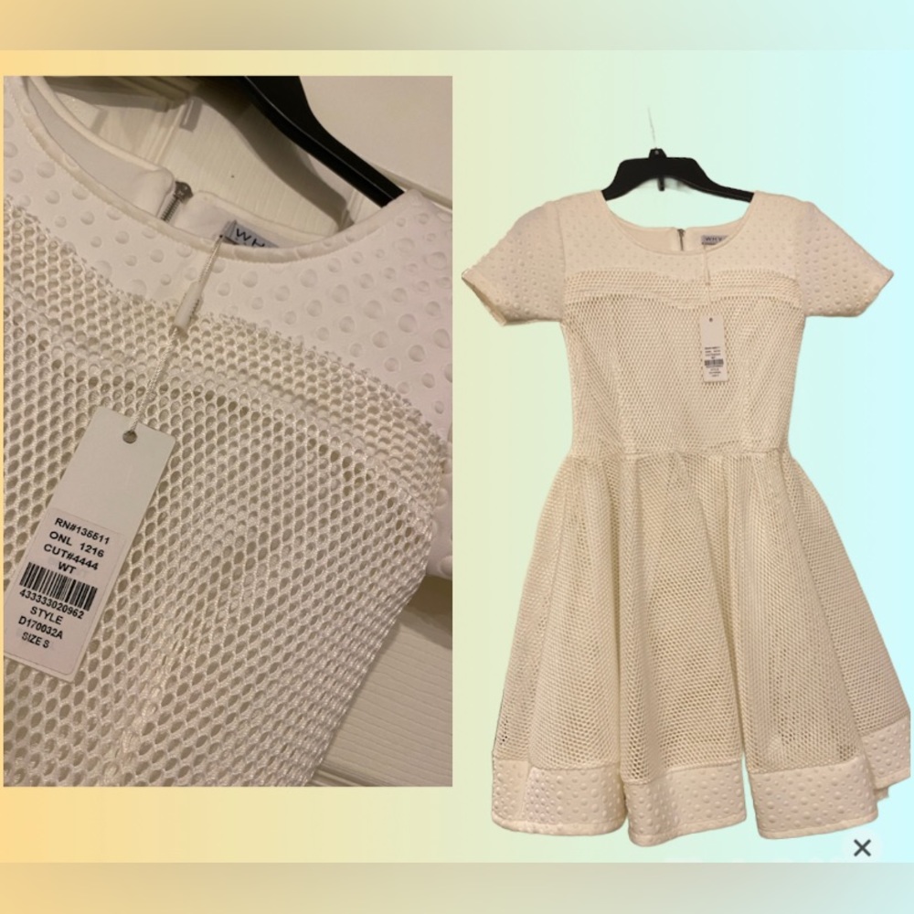 WHY dress beautiful net detail and scuba hem